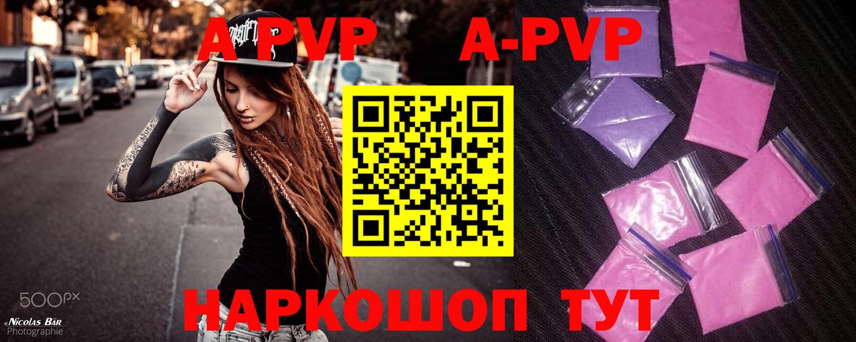 Alfa_PVP СК Гудермес